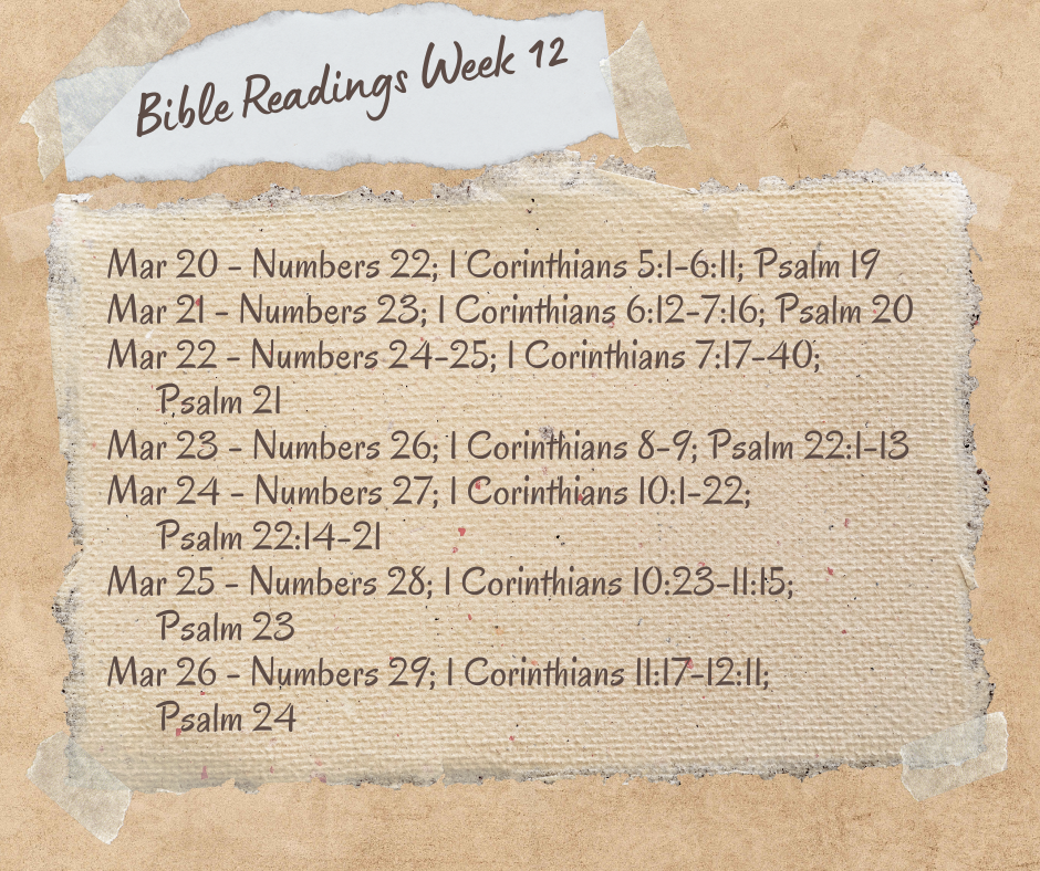 2023 Bible Plan - Week 12
