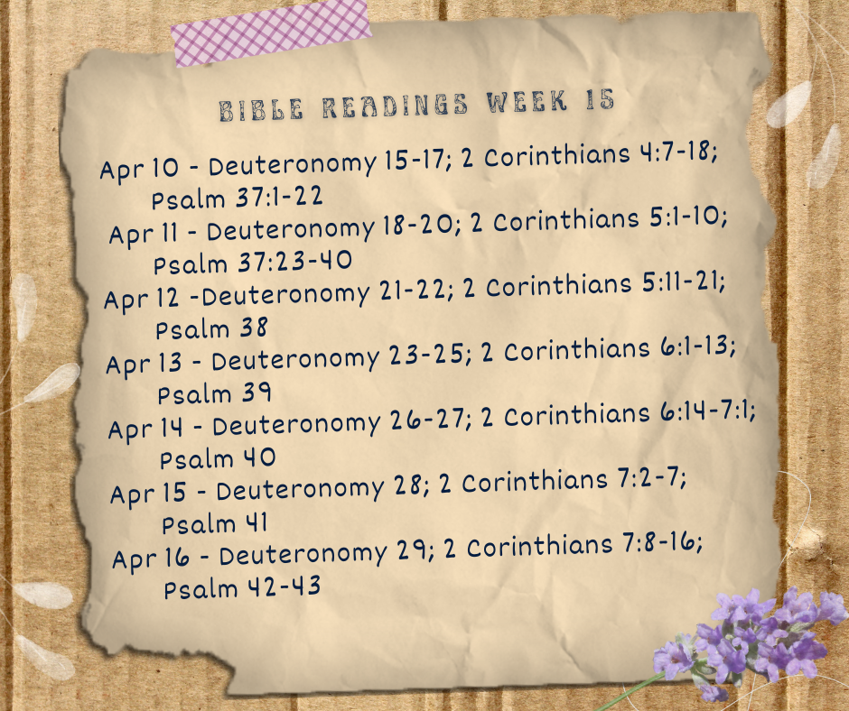2023 Bible Plan - Week 15