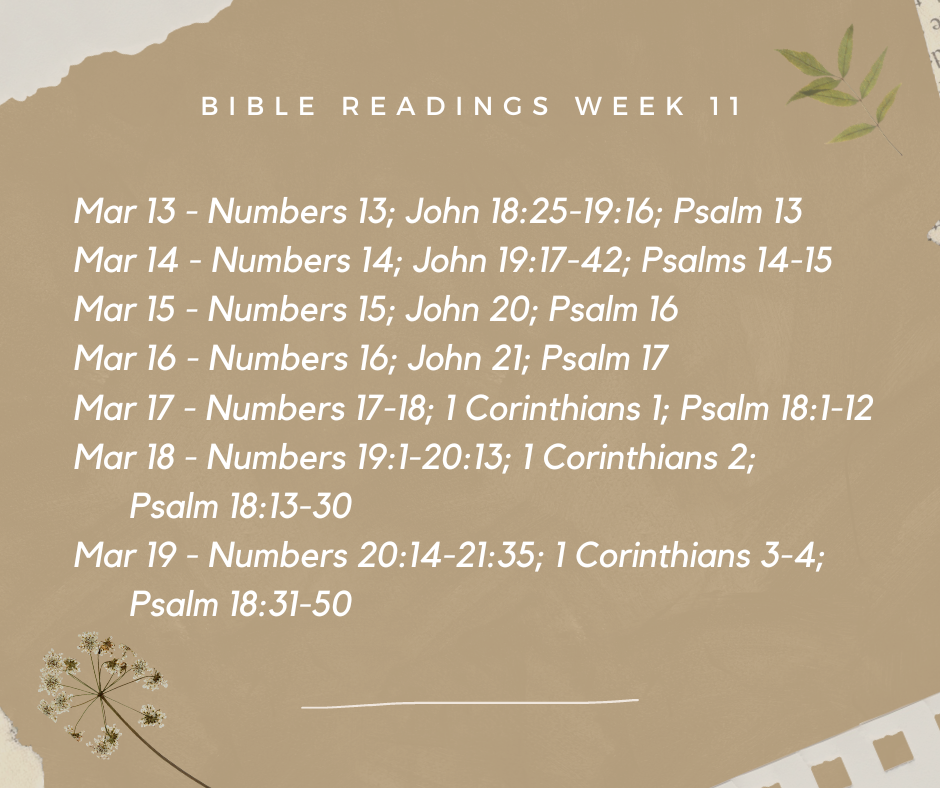 2023 Bible Plan - Week 11