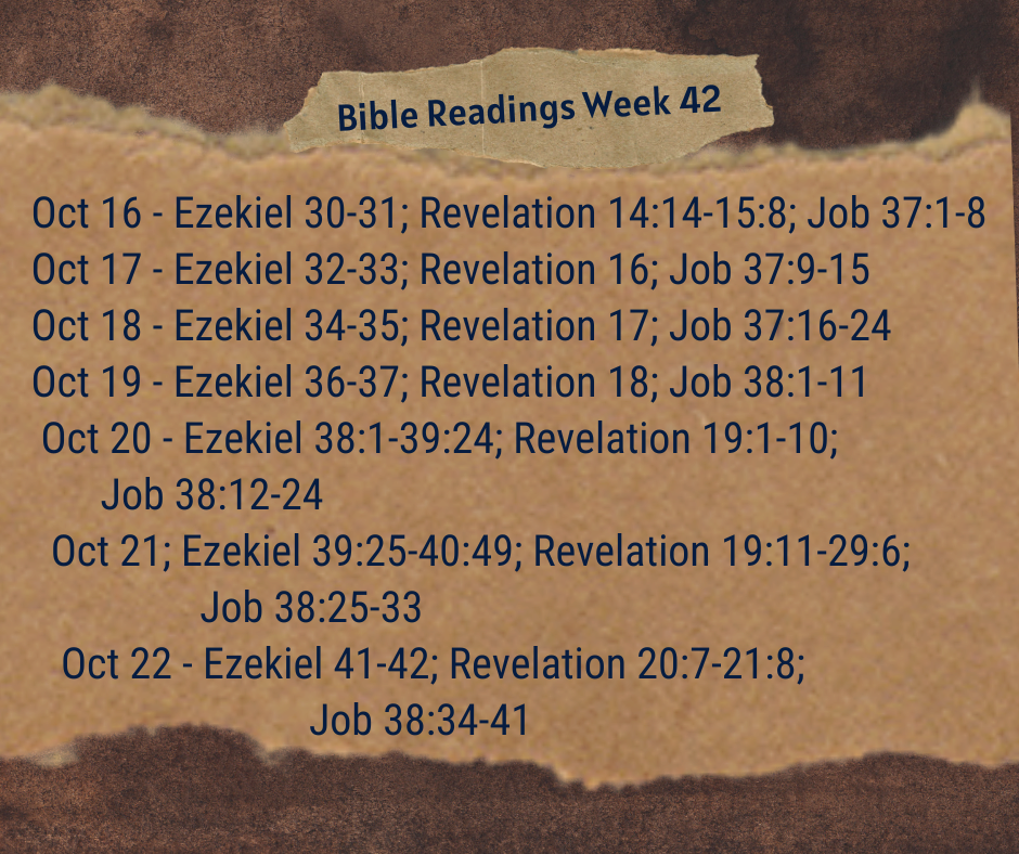 2023 Bible Plan - Week 42