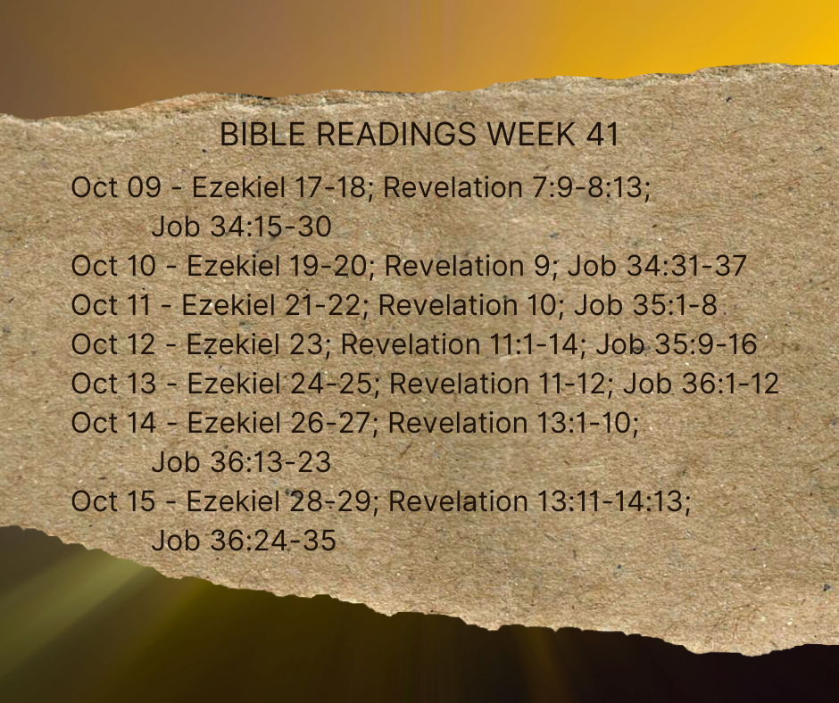 2023 Bible Plan - Week 41