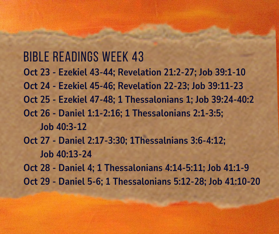 2023 Bible Plan - Week 43