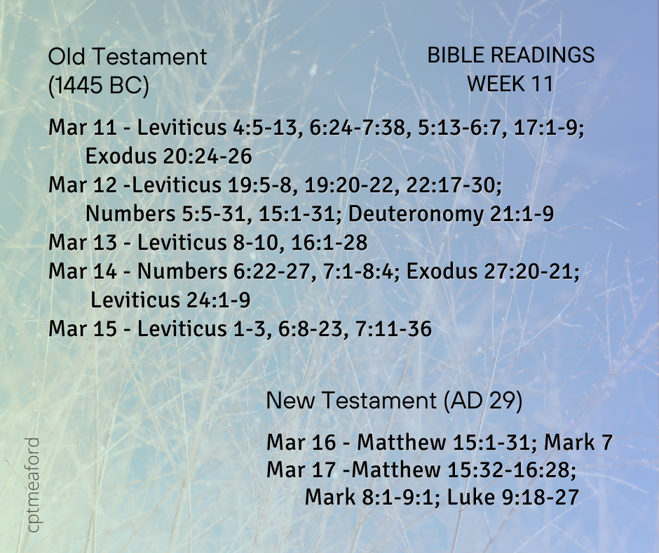2024 Bible Plan - Week 11