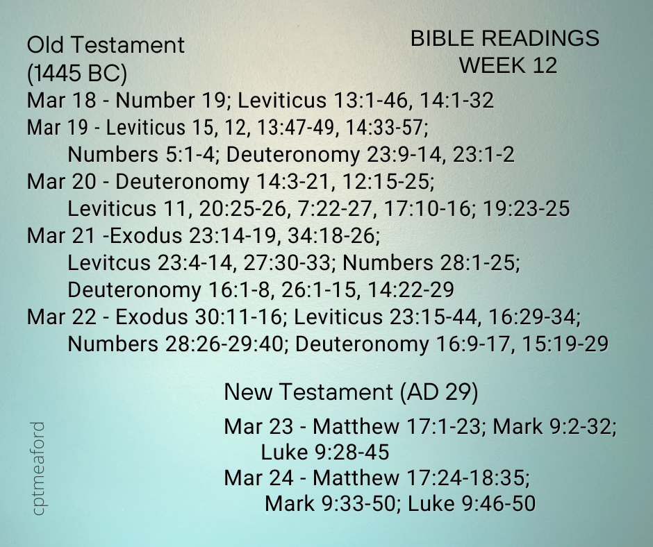 2024 Bible Plan - Week 12