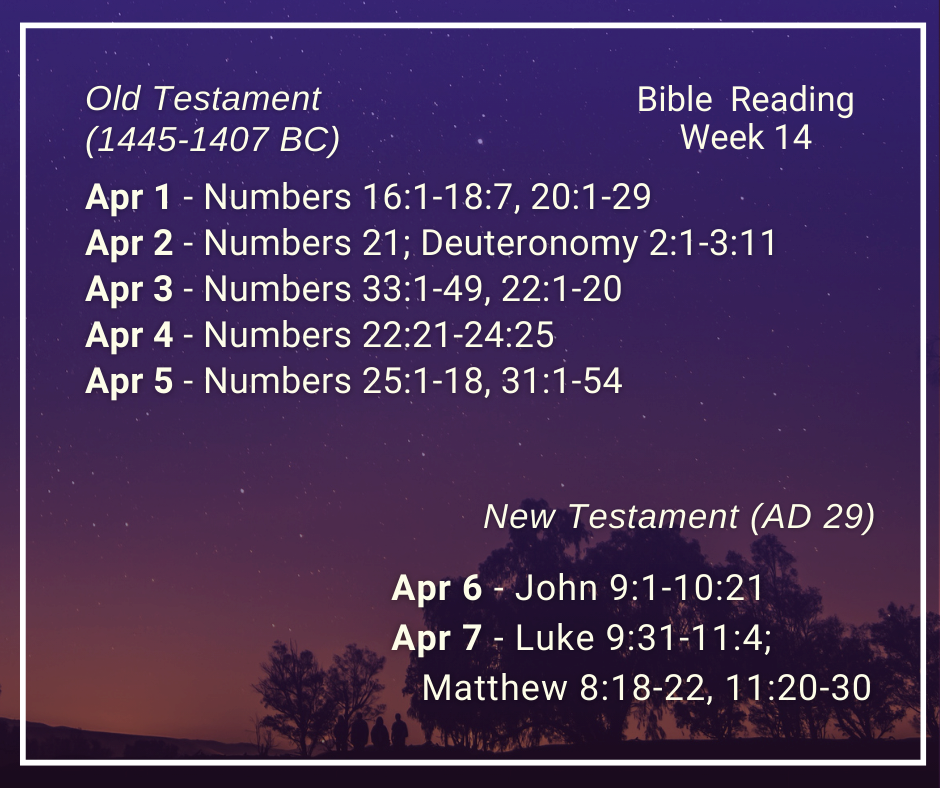 2024 Bible Plan - Week 14