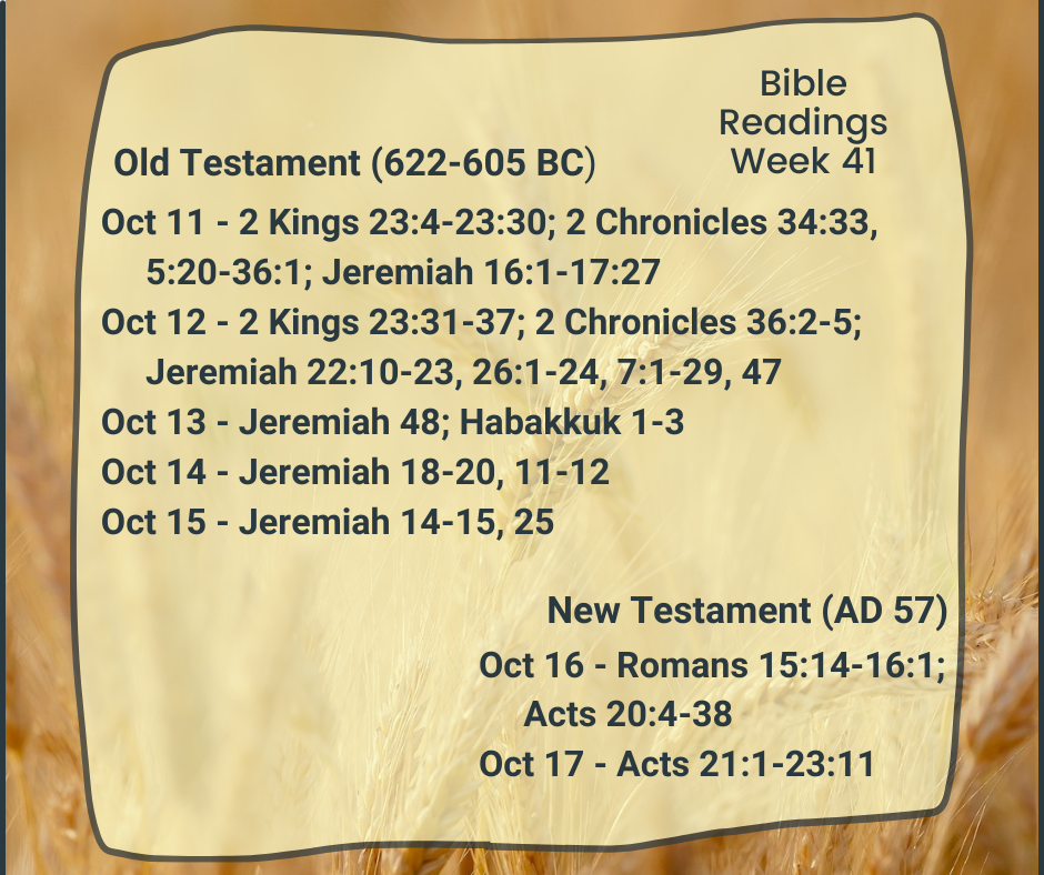 bible reading week 41