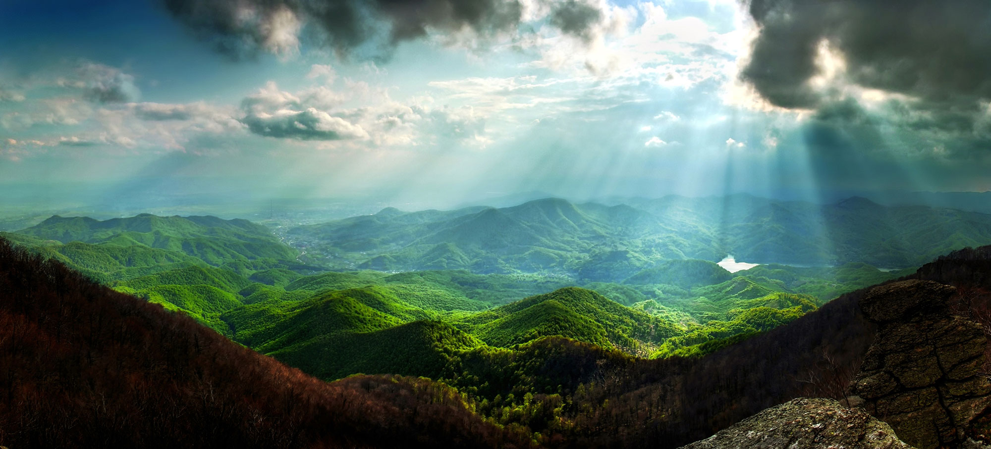“God's purpose in all this was to use the church to display his wisdom in its rich variety...” Ephesians 3:10 (NLT)