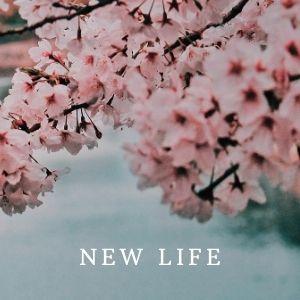Online Service ~ New Life