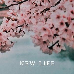 Online Service ~ New Life