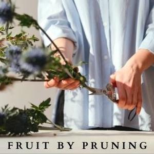 Online Service ~ Fruit by Pruning